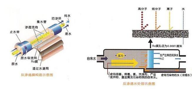 電子工業春水堂官方网站APP
